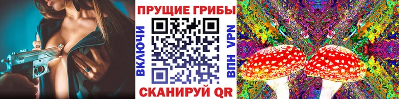 Галлюциногенные грибы MAGIC MUSHROOMS  Топки 