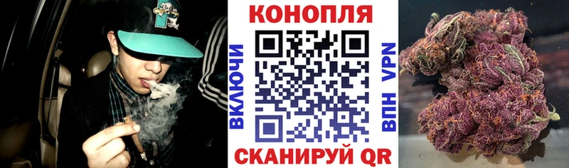 Канабис план  Топки 